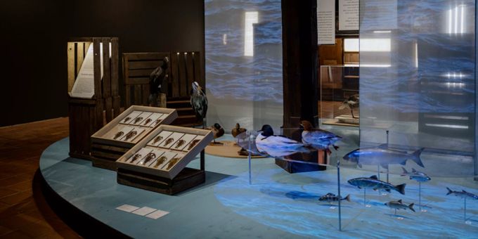 Erster Akt der Ausstellung Luzern erzählt. Luzern