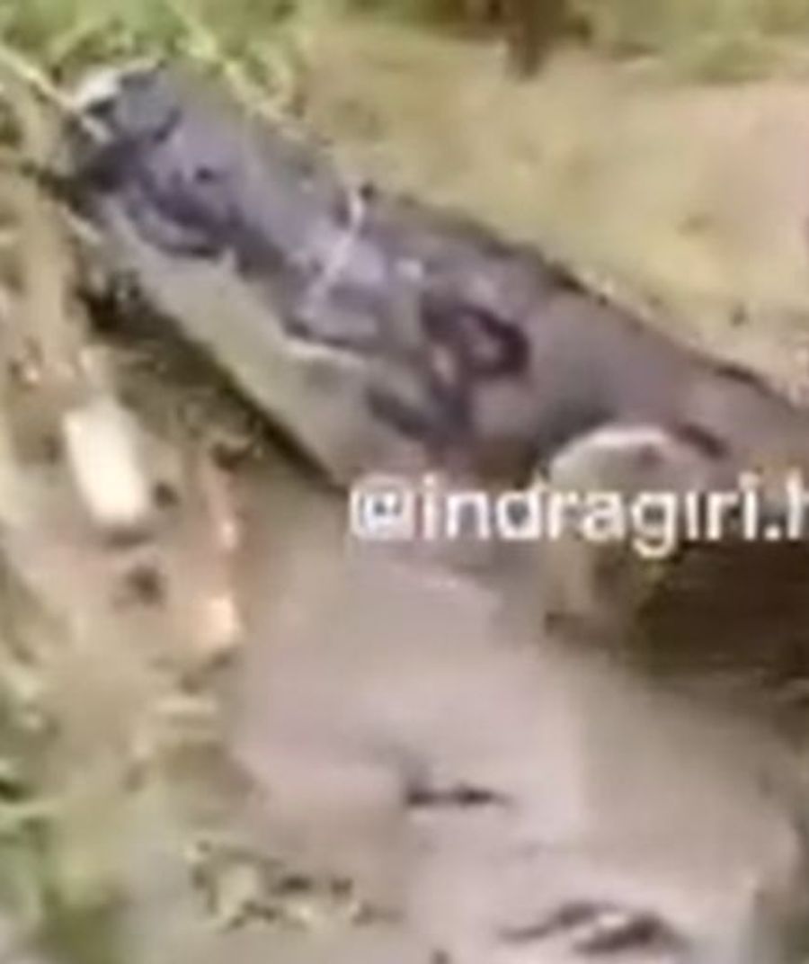 In Indonesien kommt es immer wieder zu Krokodil-Angriffen auf Menschen.