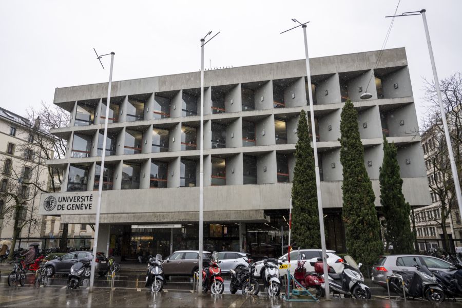 Die Studie der Uni Genf zeigt, dass sogenannte kreuzreaktive Antikörper, die bei der «normalen» Grippe entstehen, auf den Stamm des Vogelgrippe-Virus abzielen. (Archivbild)