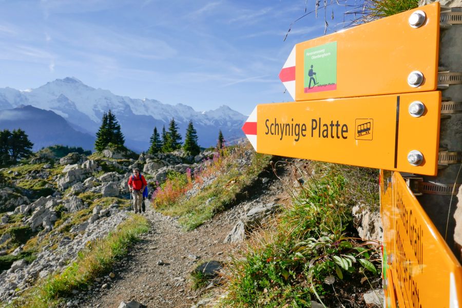 Schynige Platte Wanderung