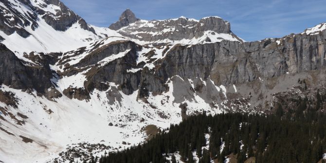 Braunwald GL