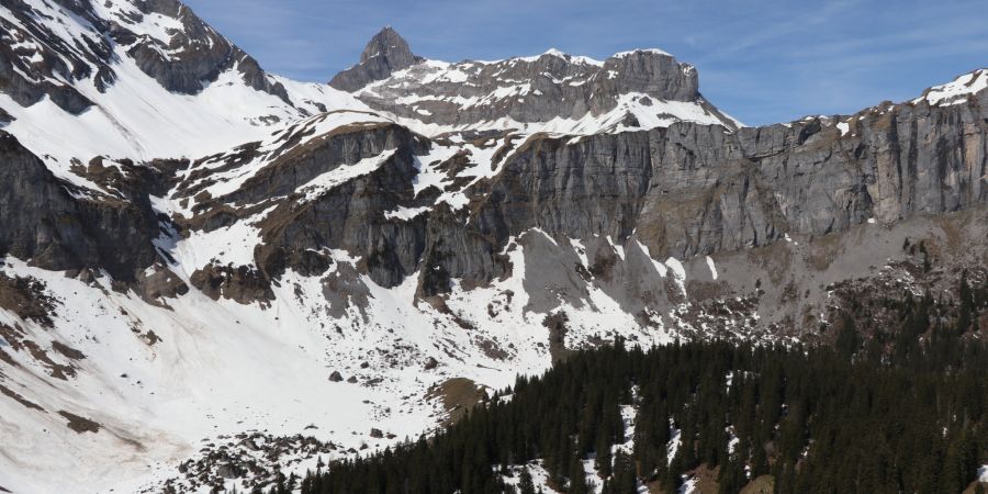 Braunwald GL