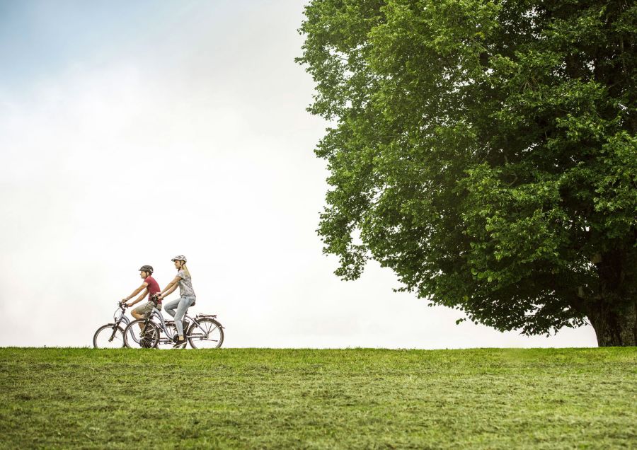 Langnau: Für Schleckmäuler