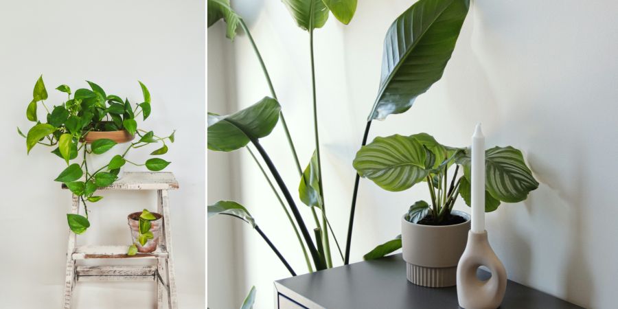 Symbolbild Immobilien