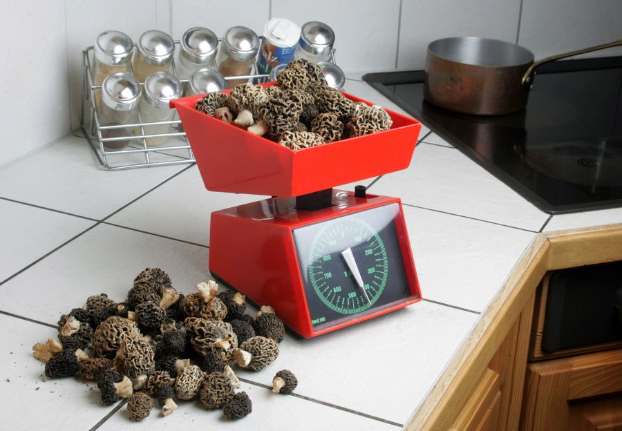 Die Fachstellen raten: stets vorbereiten und mindestens 20 Minuten kochen.