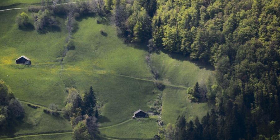 In St. Galler Wäldern leben stabile Bestände an Rauffusshühnern: Im Bild Bauernhöfe und Wald in Valens. (Archivbild)