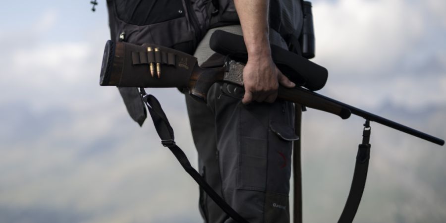 Bündner Jägerinnen und Jäger schossen vergangenes Jahr 4630 Hirsche. Die Jagdpläne des Kantons sahen den Abschuss von 4835 Hirschen vor. (Symbolbild)