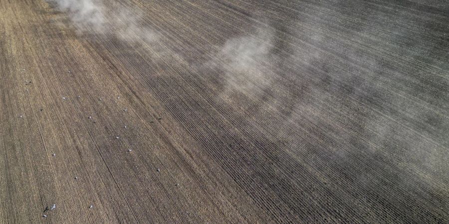 Landwirte müssen sich an den Klimawandel anpassen, die EU-Agrarpolitik ebenfalls. (Archivbild)