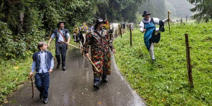 Trotz Regenwetter lockte der Alpabzug in Charmey FR tausende Schaulustige an. Alpabzug