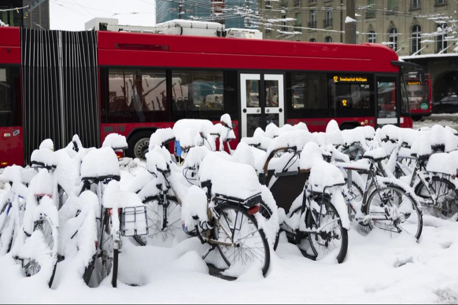 Das Hauptproblem laut Bernmobil: «Dass sich Fahrgäste, der Fahrer oder die Fahrerin erschrecken können.» (Foto aufgenommen am 22.11.2024)