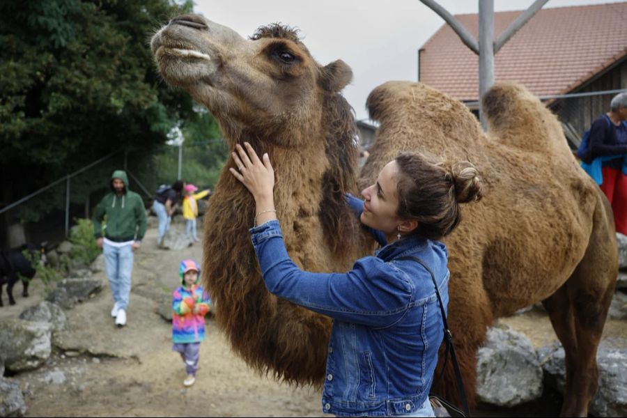 Fast 30 Jahre lang lockte der Zoo Besuchende aus der ganzen Schweiz an. (Archivbild)