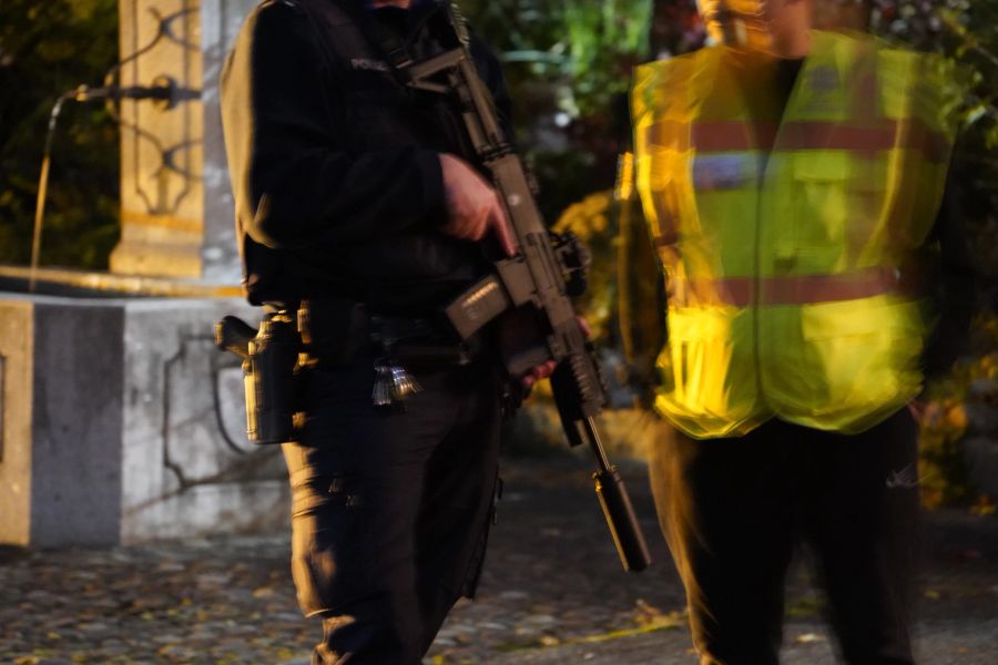 Vor Ort waren die Kantonspolizei Zürich, die Stadtpolizei Uster, die Feuerwehr, eine Sanität, der Grosstier-Rettungsdienst und ein Tierarzt.