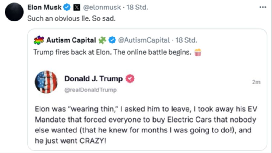 Musk bezeichnet Trump als «Lügner».