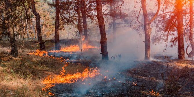 waldbrand durch unfall