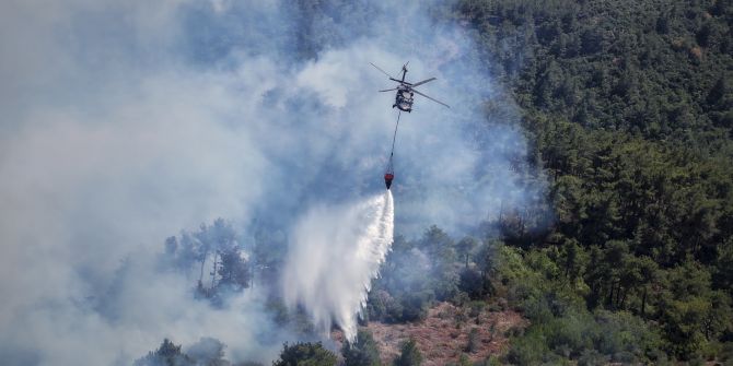 Syria Wildfires