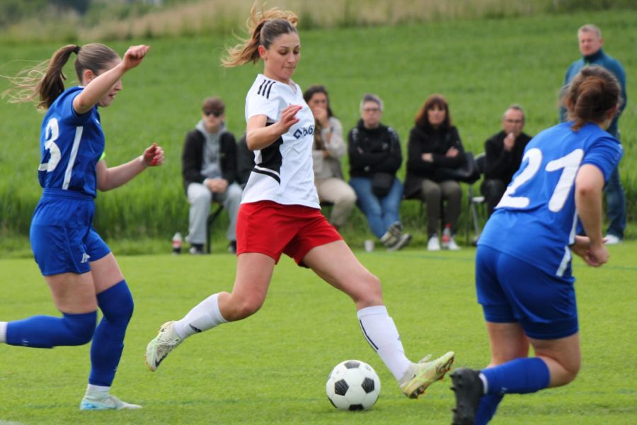 fc breitenrain frauen