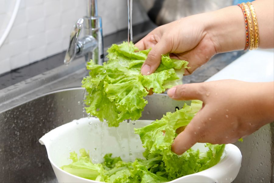 salat waschen
