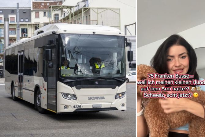 Frau Hund Bus Arm