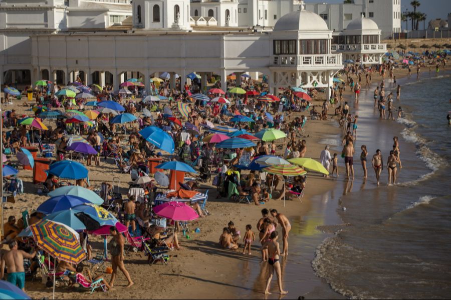 In Cádiz mussten seit Mai 1200 Tonnen der invasiven Alge vom Strand entfernt werden.