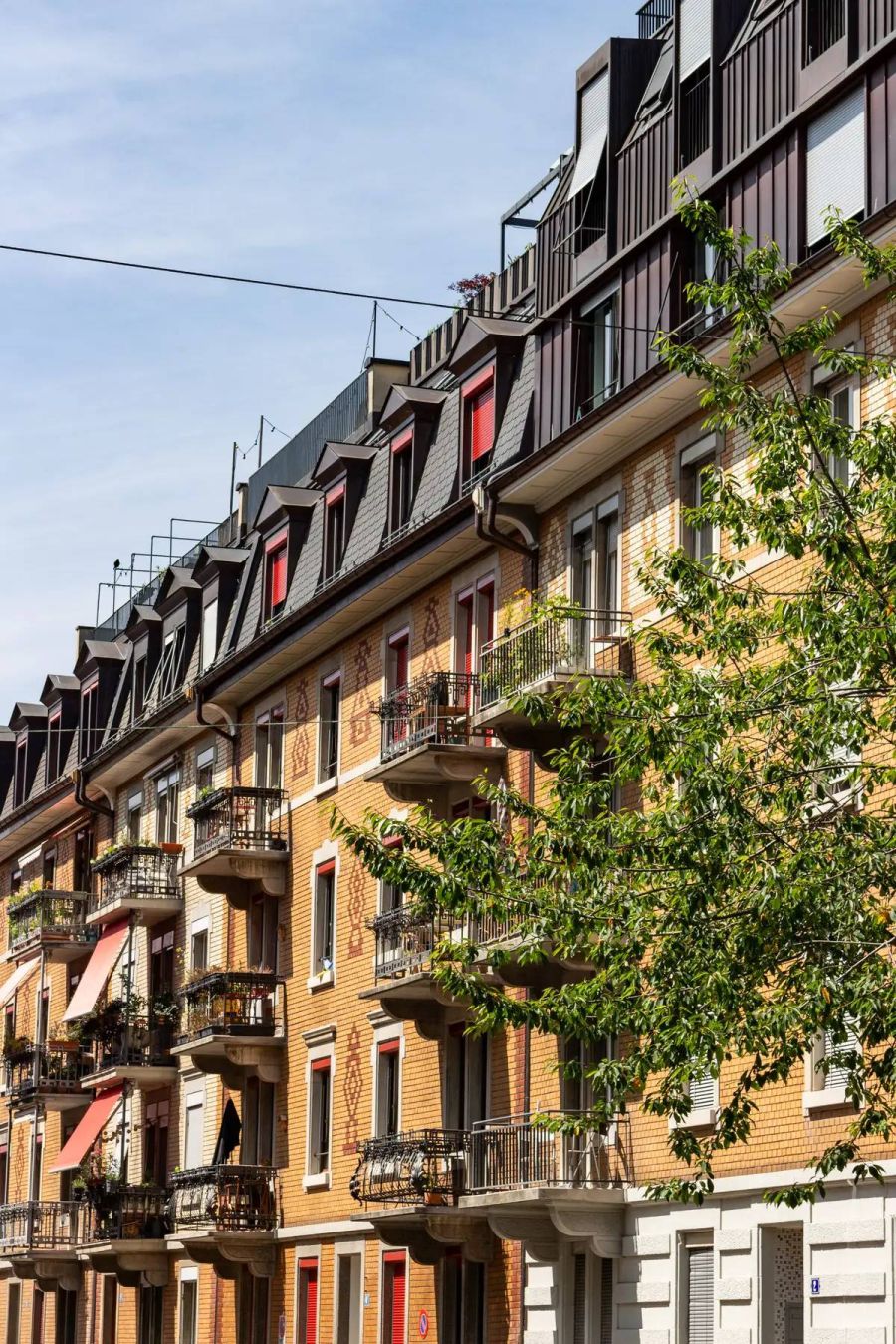 Wohnung Altbau Baum Stockwerke