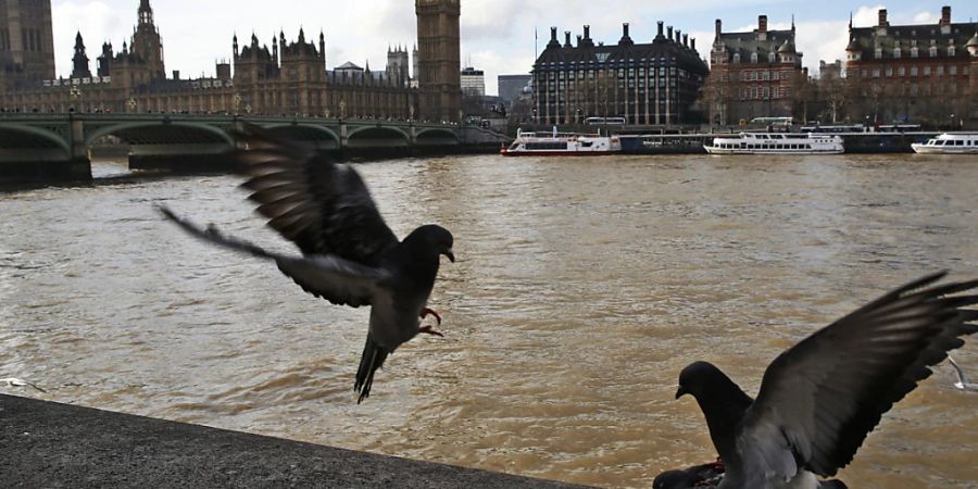 Ungeklärte Abwässer verschmutzen zunehmend Gewässer in England. (Archivbild)