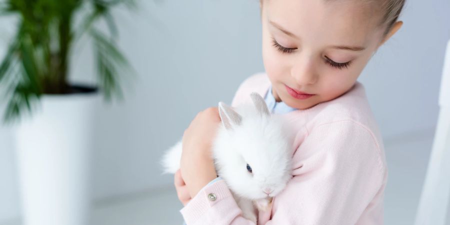 Der Geruch von Kaninchen wird oft als angenehm und fast neutral beschrieben.