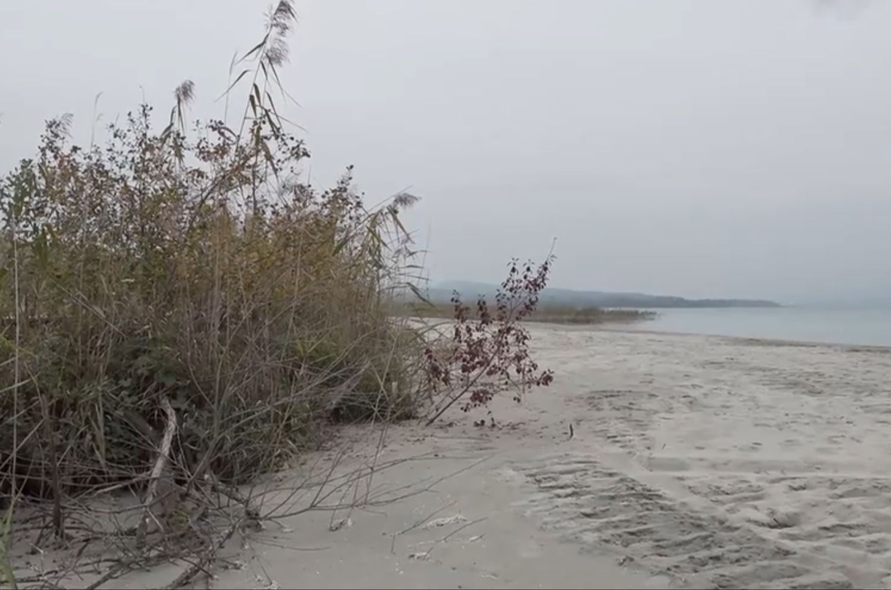 Google Sand Neuenburgersee-Ufer schwindet – es braucht tonnenweise Sand | Nau.ch
