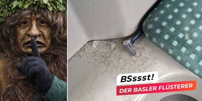 basler flüsterer