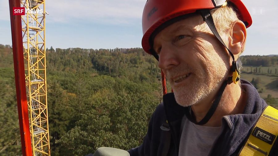 Ansgar Kahmen, Professor für Biologie Universität Basel, warnt, dass sich der Schweizer Wald in Richtung Savanne entwickeln könnte.