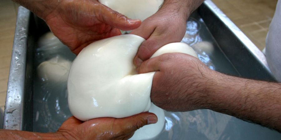 ARCHIV - Die Herstellung von Büffelmozzarella in einer Molkerei in Caserta bei Neapel, Süditalien. Foto: Franco Castano'/AP/dpa