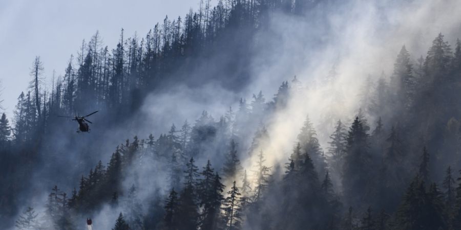 Am Freitag ist in einem Wald im Val d'Hérens ein Waldbrand ausgebrochen (Symbolfoto)