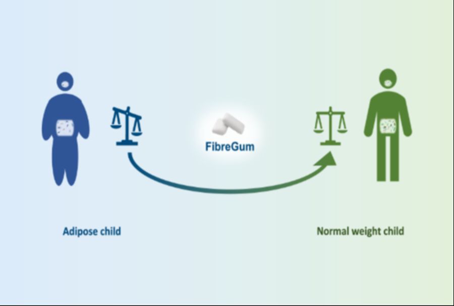 Fibregum
