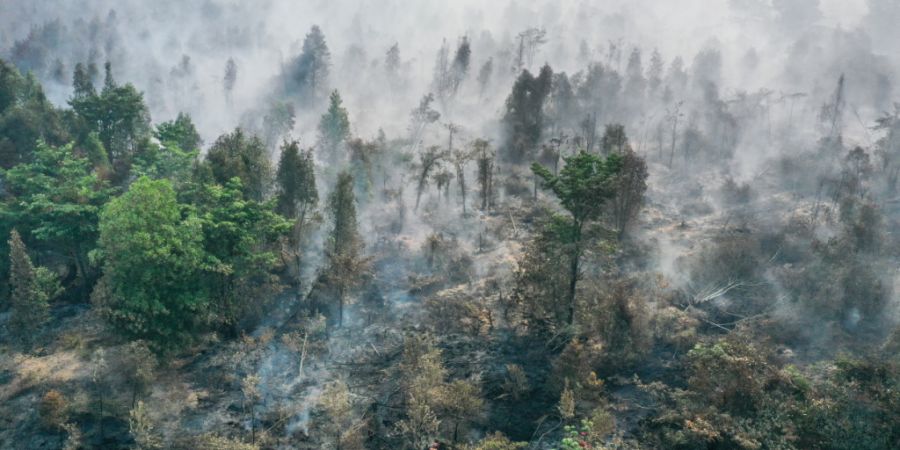 Eine neue Analyse zeigt: Hitzewellen, Brände und Saharastaub verschlechterten 2026 die globale Luftqualität massiv. (Archivbild)