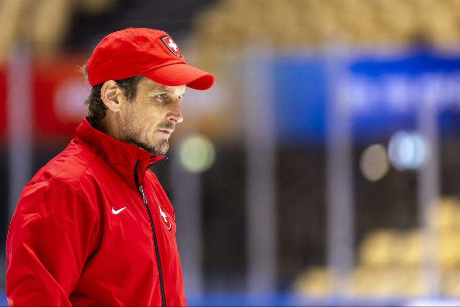 Der wohl bekannteste Fall in der Schweiz ist Ex-Eishockeytrainer Patrick Fischer, der wegen Urkundenfälschung verurteilt wurde.