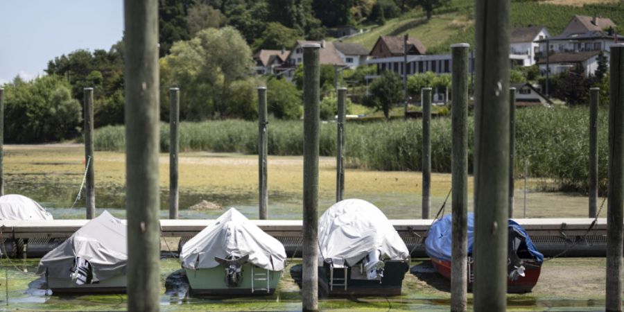 Am Hafen in Mannenbach-Salenstein TG liegen die Boote seit Monaten auf Grund. (Archivbild)