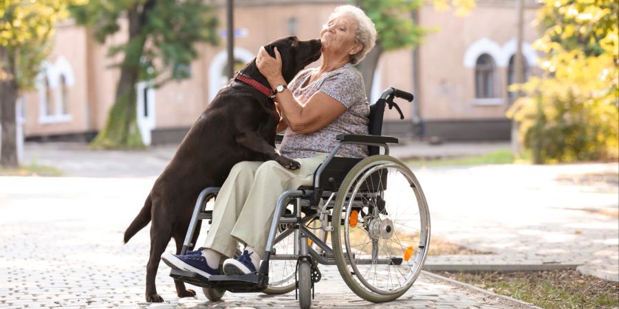 Hund mit älterer Frau im Rollstuhl