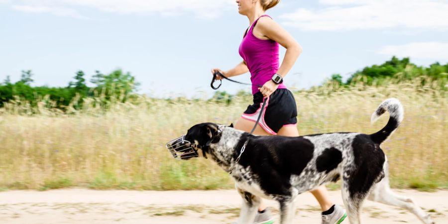 Joggerin Hund