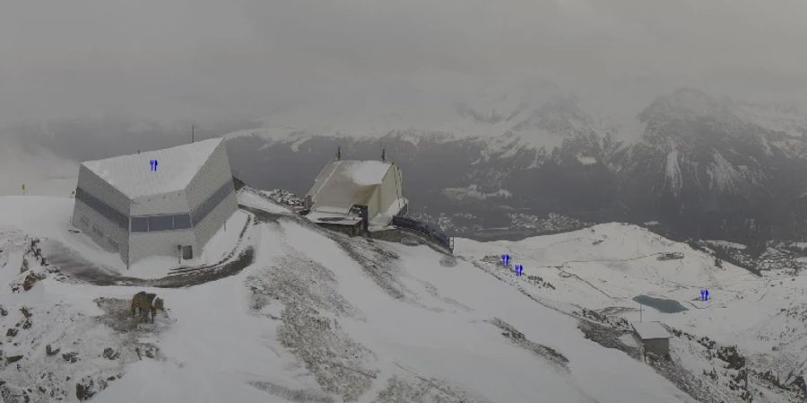 Auch das Weisshorn in Arosa GR ist schneebedeckt. Ein Skibetrieb ist an diesem Wochenende aber noch nicht möglich.