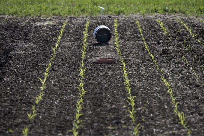 In Frick AG wird seit über 20 Jahren erforscht, wie sich eine reduzierte Bodenbearbeitung und verschiedene Düngenvarianten auf dessen Fruchtbarkeit auswirkt. Boden Fruchtbarkeit Düngen Landwirtschaft