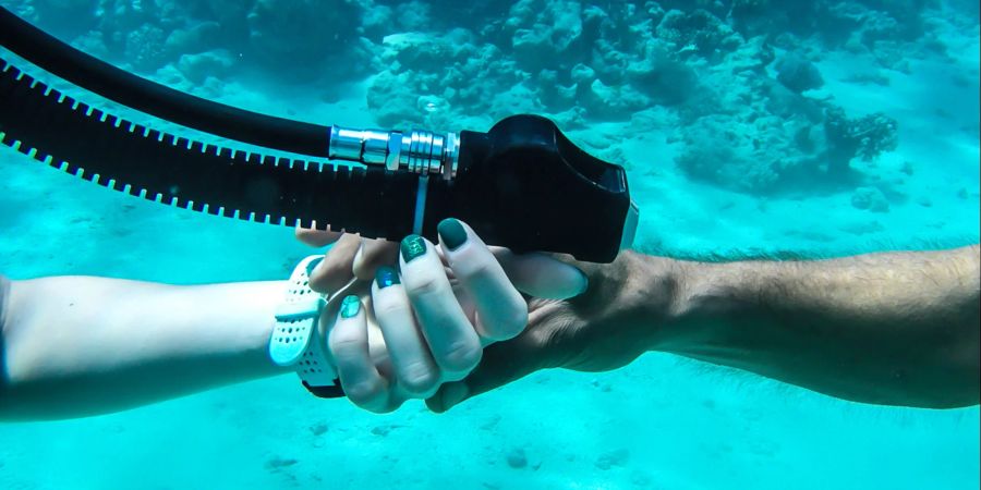 taucher greift Taucherin unter Wasser bei der hand