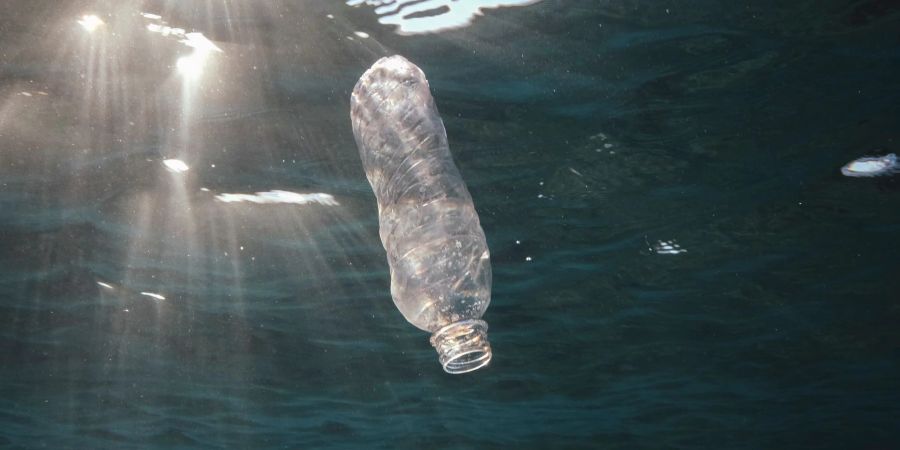 Eine weggeworfene Plastikflasche treibt im Roten Meer vor Ägypten.