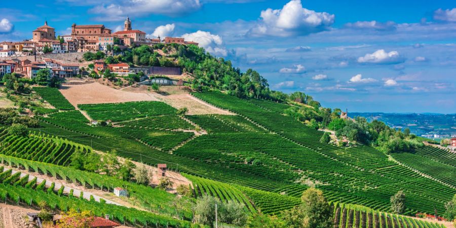 Das Piemont in Italien lockt Touristen aus aller Welt mit seinen berühmten Weinbergen an.