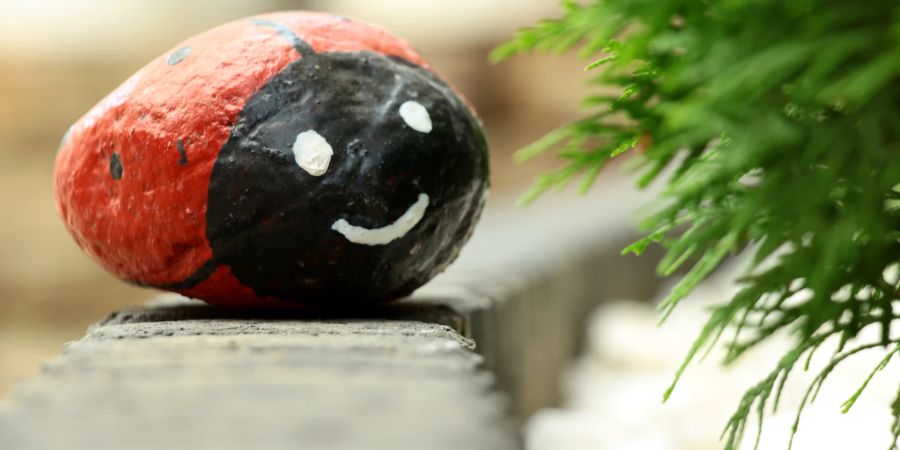 Mit Marienkäfern bemalte Steine sind eine kreative Garten-Deko und bei Kindern beliebt.