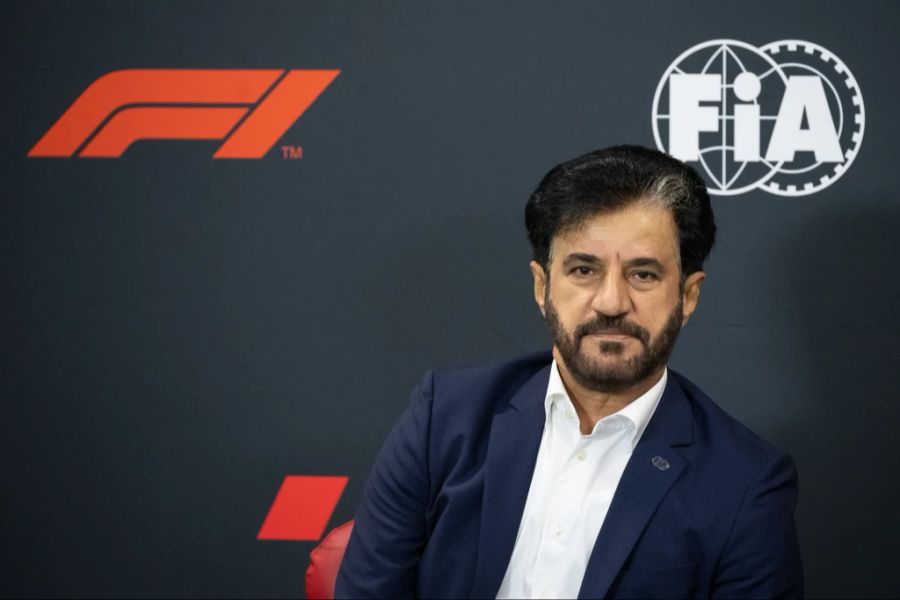 FIA Formel 1 Sulayem