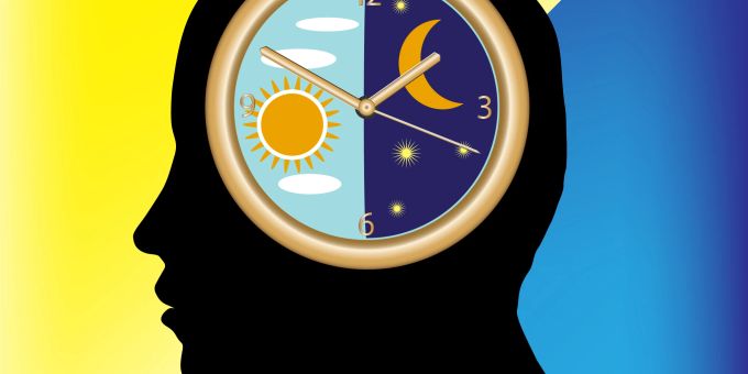 Das zirkadianische System ist der Rhythmus unseres Körpers. So gesagt: unsere innere Uhr innere uhr