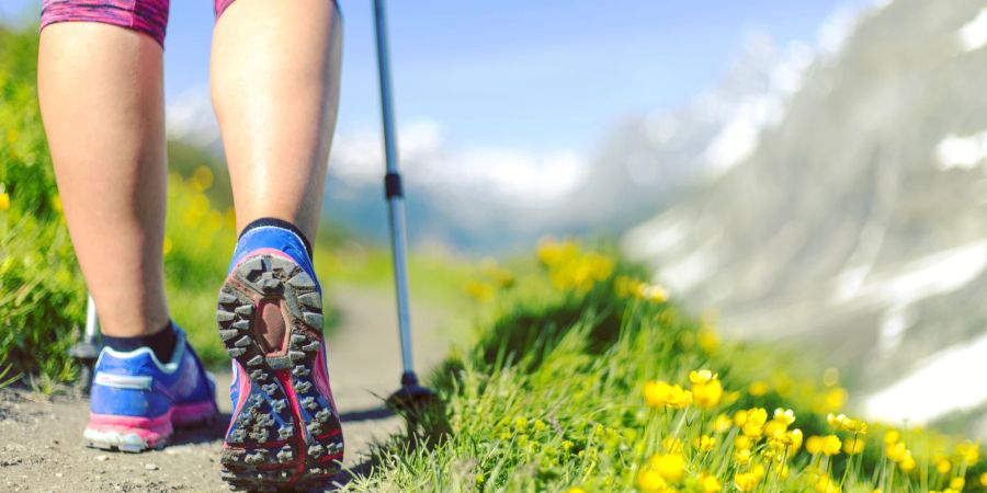 Nordic Walking