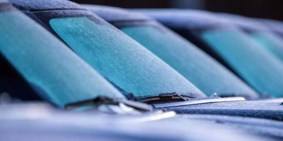 Analysten erwarten trotz der Zunahme von Auto-Abos weiterhin ein grosses Interesse am eigenen Fahrzeug. Foto: Jens Büttner/dpa-Zentralbild/dpa