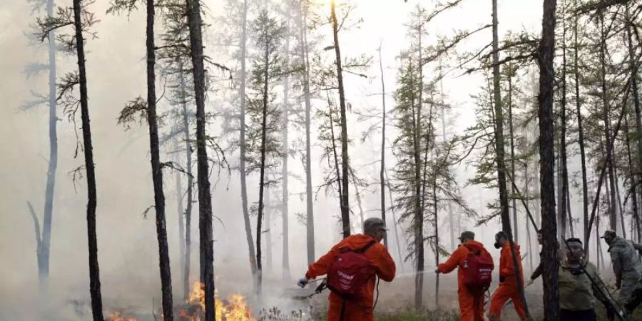 Mittlerweile sind mehr als 9000 Helfer im Kampf gegen die Flammen im Einsatz. Foto: Vasily Kuper/AP/dpa