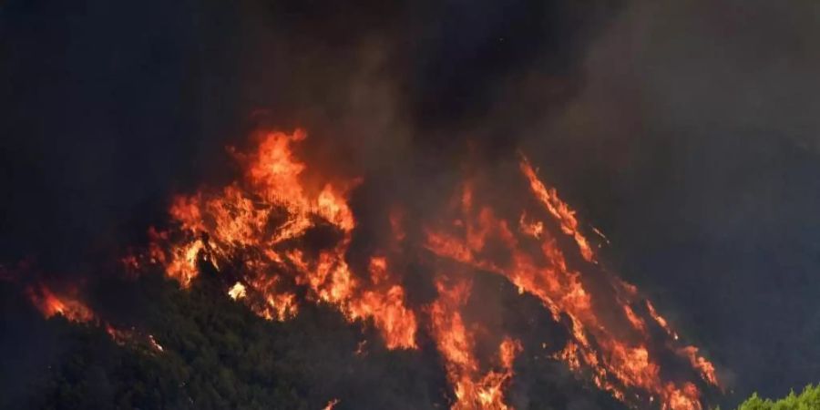 Ein Waldbrand wütet in der Nähe des Ortes Platanos, unweit des antiken Olympia. Foto: Giannis Spyrounis/ilialive.gr/AP/dpa