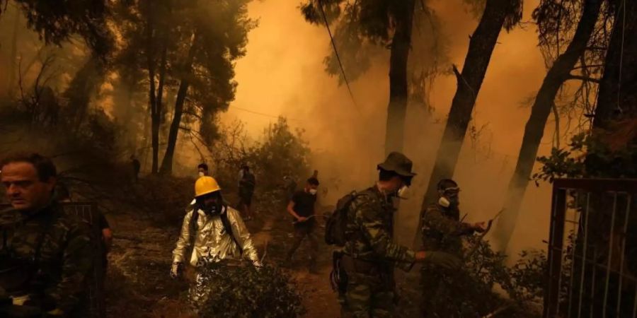 Helfer bekämpfen in der Nähe des Dorfes Pefki auf Euböa den Brand eines Waldstückes. Foto: Petros Karadjias/AP/dpa